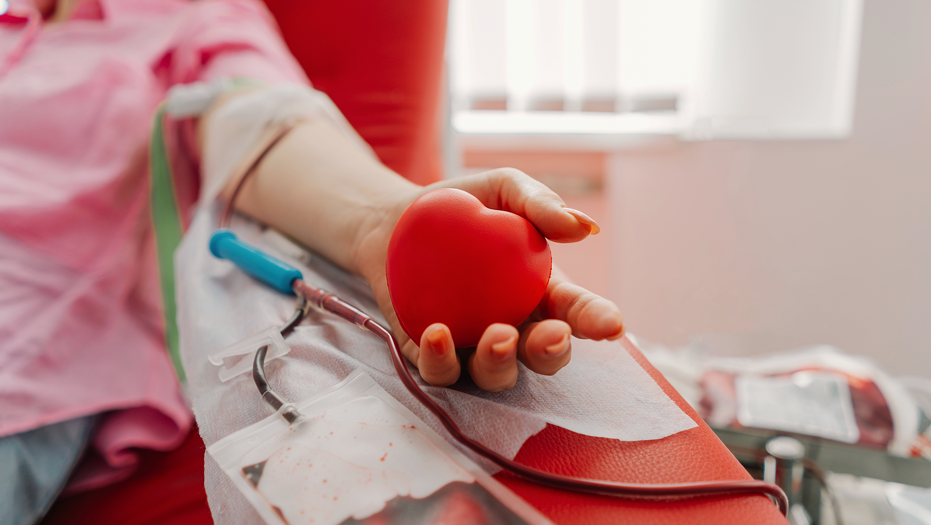 dia nacional do doador de sangue